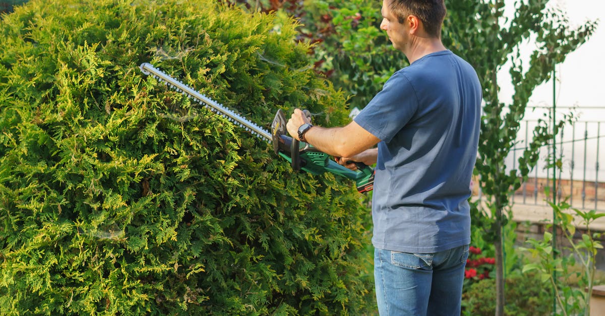 Lawn Care Scottsdale